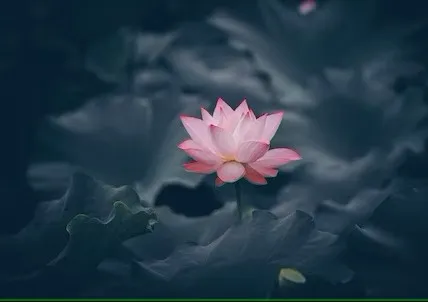 The Power of Savitri